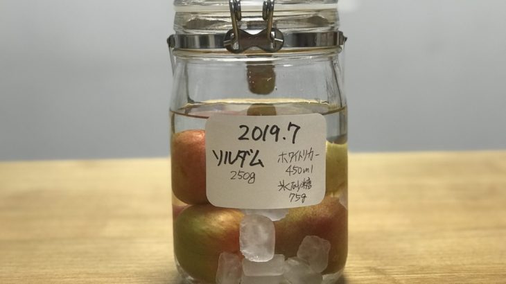 ソルダム酒 【 ソルダム × ホワイトリカー × 氷砂糖 】の作り方 (2019年7月)